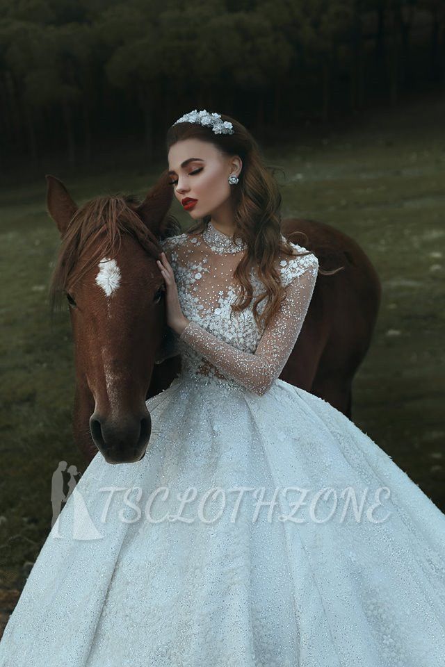 High Neck Sparkly Pailletten Vintage Brautkleider | Roayl Langarmkleider für Hochzeiten