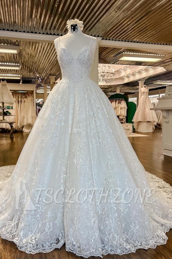 Chic Floral Lace Aline Wedding Dress V-Neck Sleeveless Backless Bridal Dress