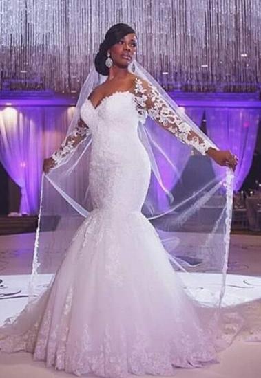 Sexy Mermaid Lace long Sleeve Plus Size Wedding Dress 2022 High Quality Bridal Gowns_2