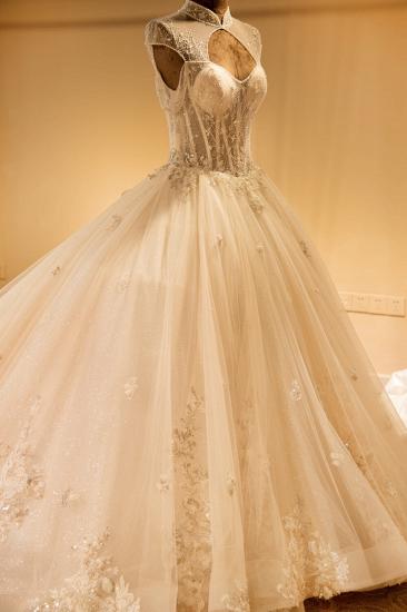 Luxury Illusion Neck Lace-up Tulle Ball Gown Wedding Dress | Modest Ivory Sparkle Bridal Gowns Online_6