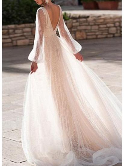 A-Line Wedding Dress V-Neck Tulle Long Sleeve Bridal Gowns Sweep Train_2