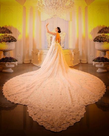 Luxuriöses Meerjungfrau-Brautkleid mit V-Ausschnitt und langem Sweep-Zug_2