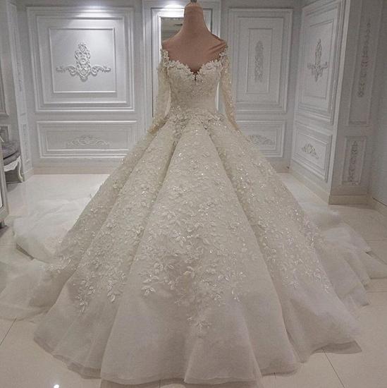 Charming Long Sleeve Lace Appliques Bridal Gowns | Ball Gown with Zipper Button Back Wedding Dress_1
