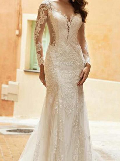Mermaid Wedding Dresses V-Neck Tulle Polyester Long Sleeve Bridal Gowns Country Plus Size Sweep Train_2