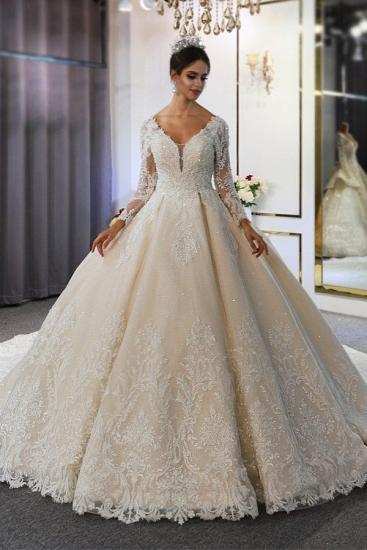 Luxury Long Sleeves Deep V-Neck Princess Ball Gown Garden Bridal Dress