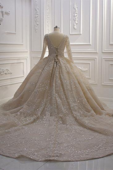 Sparkle Lace Long sleeves Champange Luxury corset Wedding Dress_5