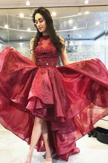 Burgundy Tulle lace hi-Lo Dancing Party Dress Homecoming Dress