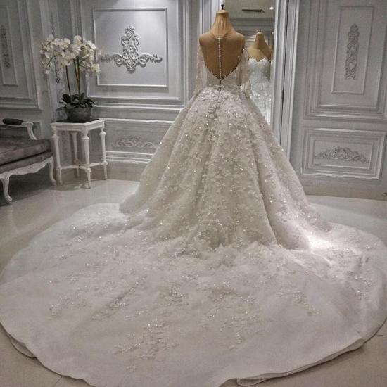 Charming Long Sleeve Lace Appliques Bridal Gowns | Ball Gown with Zipper Button Back Wedding Dress_3