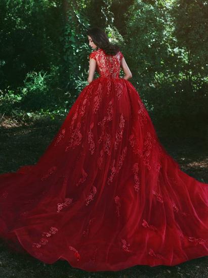 Elegant Red V-Neck OverSkirt Lace Applique Prom Dresses_3