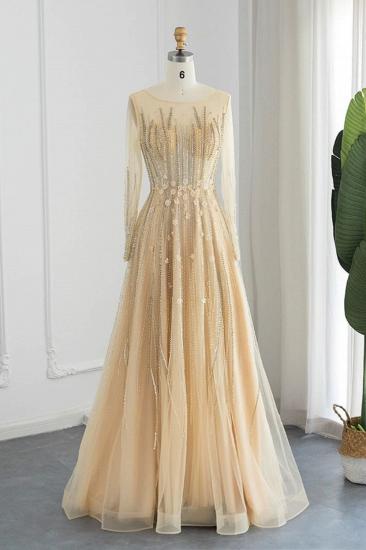 Erstaunliches Juwel-Pailletten-Abendkleid mit langen Ärmeln und Tüll-Aline-Abendkleid_1