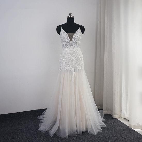 Elegant Floral Appliques A-line Tulle Wedding Dress Spaghetti Straps V-Neck Evening Dress_4