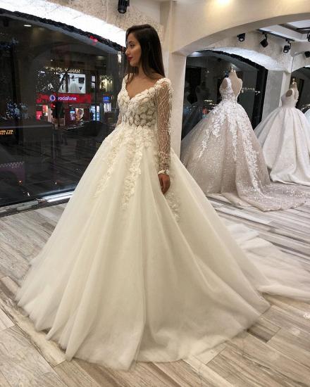 Elegant Ivory Long sleeves V-neck Leaves Lace Ball Gown Wedding Dresses_4