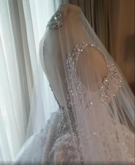 Sparkle V-neck Ball Gown Princess Bridal dresses for Wedding_2
