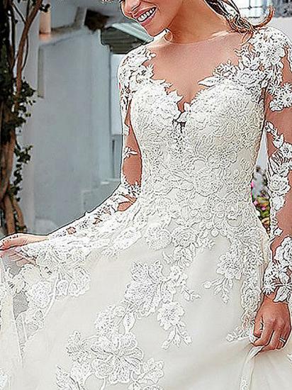 Affordable A-Line Wedding Dress V-neck Tulle Long Sleeve Bridal Gowns with Sweep Train_3