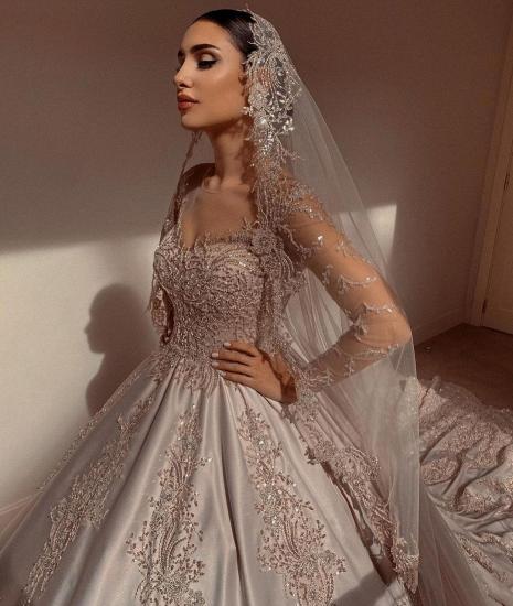 Gorgeous Long Sleeves V-neck Floral Appliques Princess Ball Gown_6
