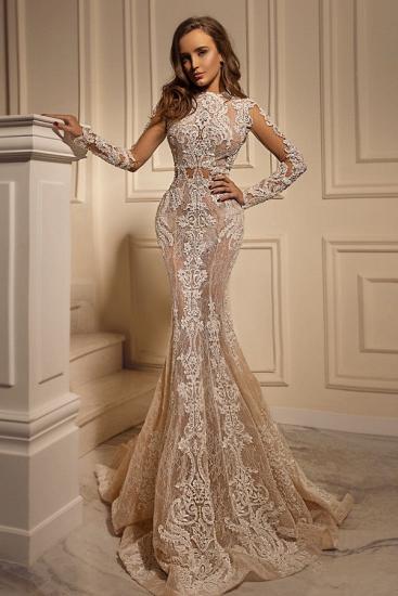 Stunning Floral Lace Long Mermaid Wedding Dress Long Sleeves_1