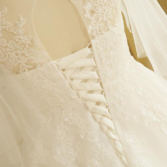Elegant Plus Size Lace Wedding Dress A-line Floor Length V-neck Tulle Appliques Lace-up Poet Sleeves_6