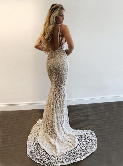 Gorgeous V-Neck Prom Dress | Lace Mermaid Evening Gowns BA9393_4