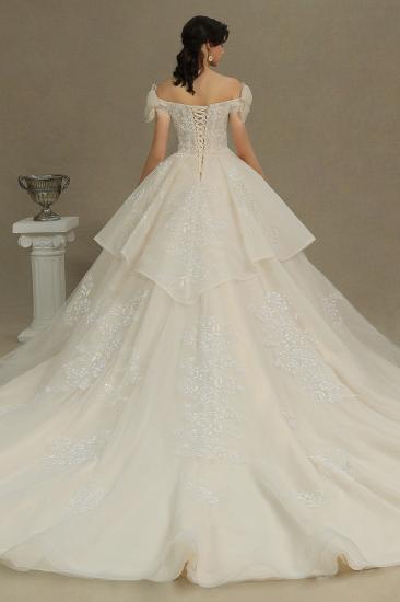 Elegant Off-the-Shoulder Tulle Lace Ball Gown Floor Length Graden Bridal Gown_6