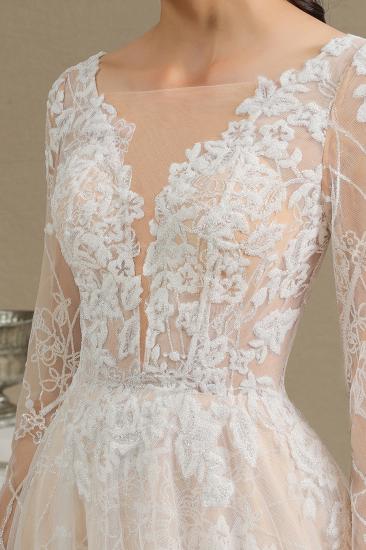 Elegant Lace Deep V-neck Wedding Dress Long Sleeve Floor Length Bridal Gowns_9