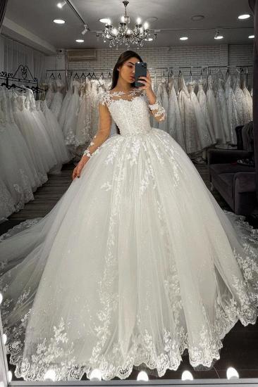 Long Sleeves Lace Appliques Tulle Wedding Gown White Garden Aline Spring Bridal Gown