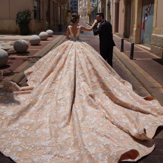 Glamorous V-Neck Sleeves Floral Pattern Ball Gown  Champagne Aline Wedding Gowns_4