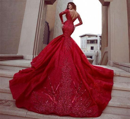 Stunning Long Sleeves Mermaid Evening Dresses with Train | Hot Backless Lace Crystal Prom Dresses_4