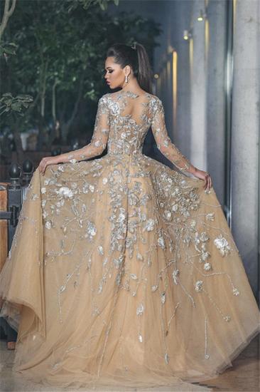 Stunning Illusion Long Sleeve Sexy Evening Gowns | A-line Lace Appliques Tulle Prom Dress_3
