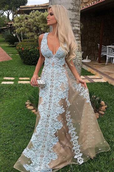 Tulle Floor-Length Long V-neck Amazing Lace Prom Dress