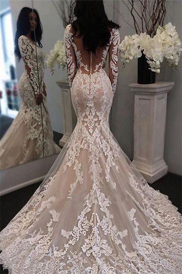 Long Sleeve Lace Mermaid Btidal Gowns | Gorgeous Retro Sheer Tulle Wedding Dress_1