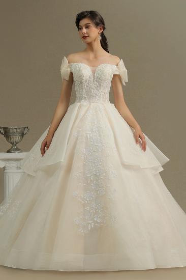 Elegant Off-the-Shoulder Tulle Lace Ball Gown Floor Length Graden Bridal Gown_2